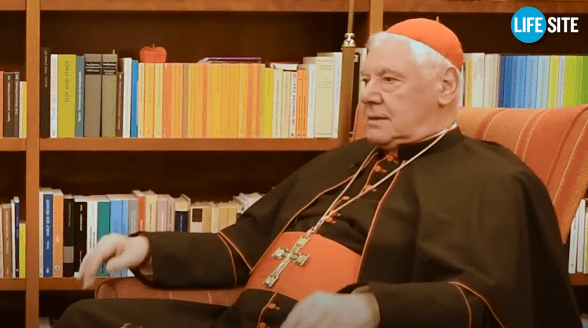 Cardinal Müller slams ‘disgraceful’ Vatican meeting with German bishops to ‘negotiate faith and morals’ – Allah's Willing Executioners