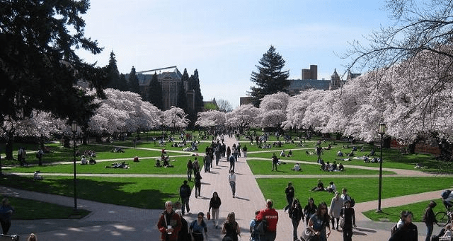 The University of Washington canceled its planned pro-Hamas protest because it was too white – Allah's Willing Executioners