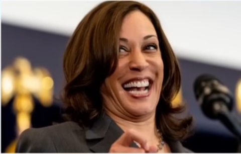 Secret Service Agent Snaps After Being Assigned to Kamala Harris’ Security Detai