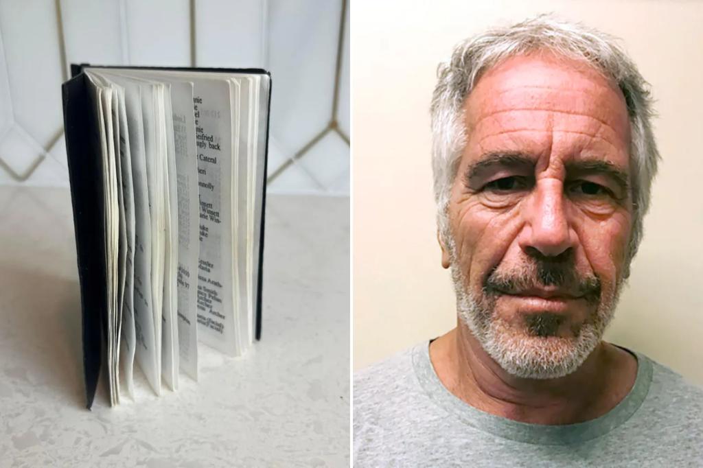 Jeffrey Epstein black book with 221 names to sell at auction
